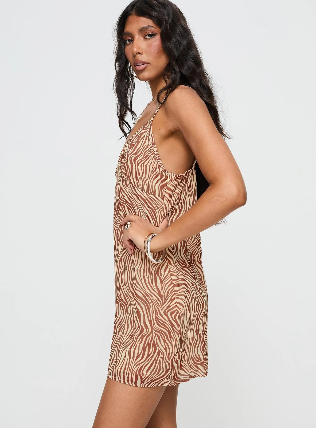 Akari Mini Dress Brown Zebra