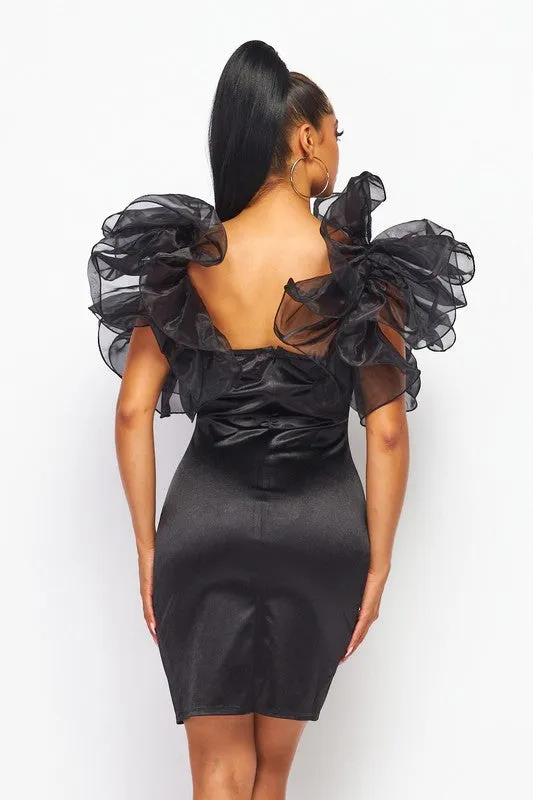 Black Wire Organza Ruffle Mini Dress