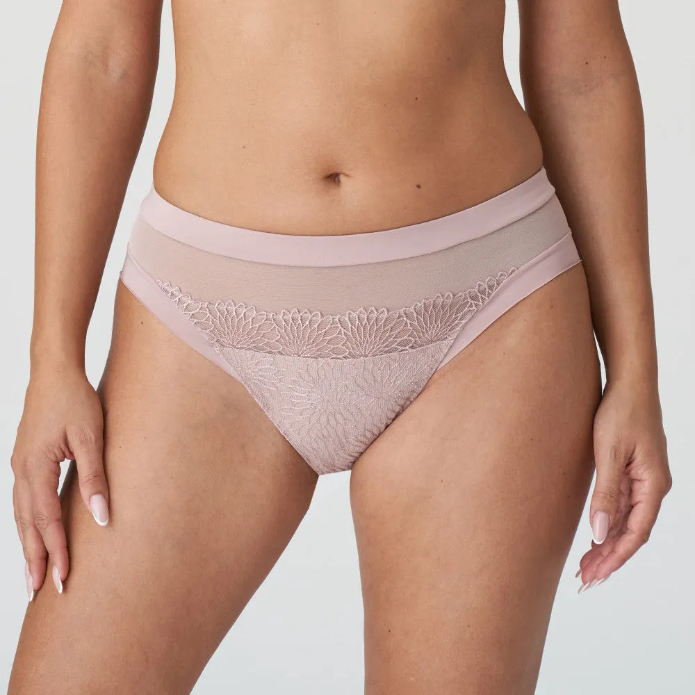 Sophora Rio Brief